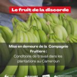 Mise En Demeure sur les manquements observés à la société Plantation du Haut Penja (PHP)