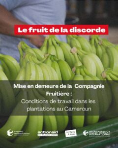 Lire la suite à propos de l’article Mise En Demeure sur les manquements observés à la société Plantation du Haut Penja (PHP)
